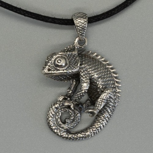 Lézard gecko reptile - gecko,