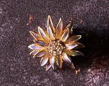 TRÈS JOLIE PTE BROCHE VINTAGE