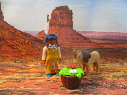 Playmobil indiens squaw - /,