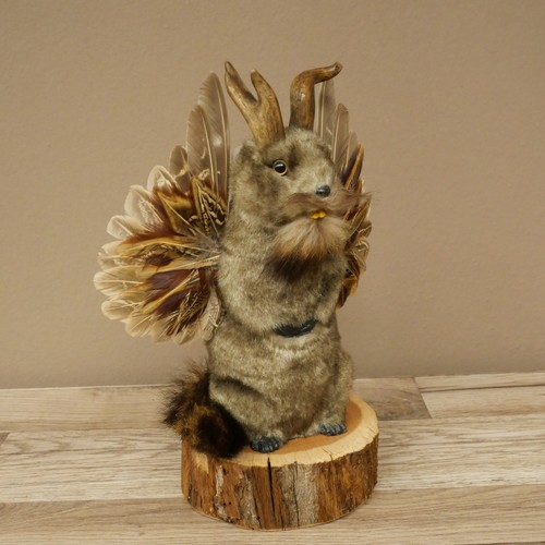 Wolpertinger murmel préparat - wolpertinger,