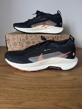 Nike Pegasus Trail 5 GTX Homme