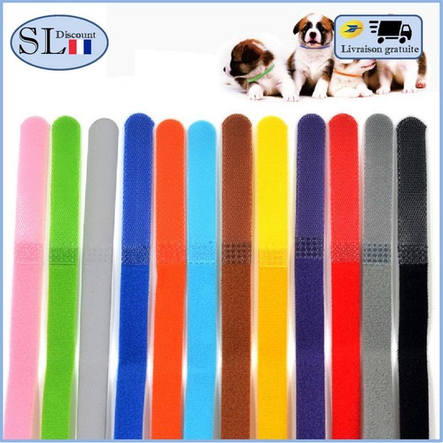 Colliers pour chiots - pour,