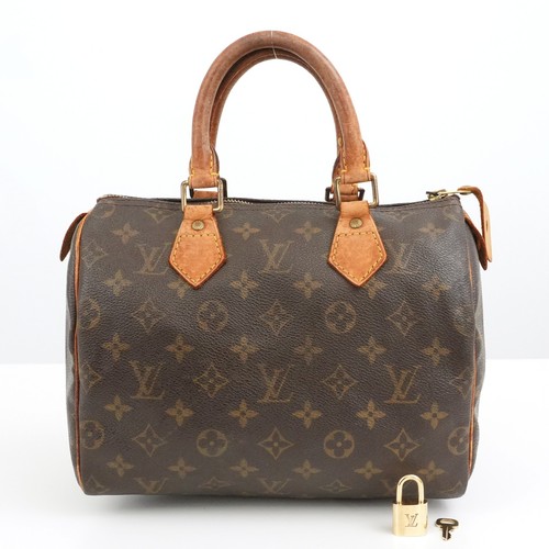 Sac main louis vuitton - sac,