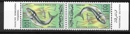 Timbres maroc morocco n - -, n°