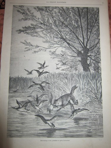 Gravure 1870 braconnage - gravure,