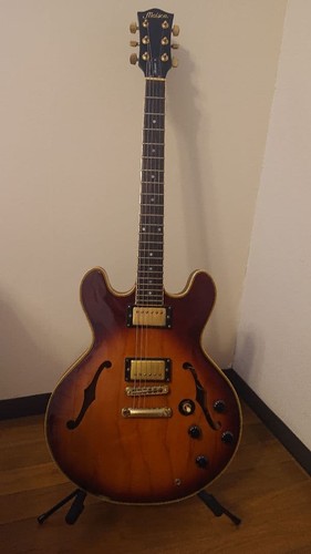 Maison semi acoustic - semi-acoustic, es-335