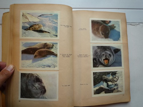 Expedition antartique belge - expedition,