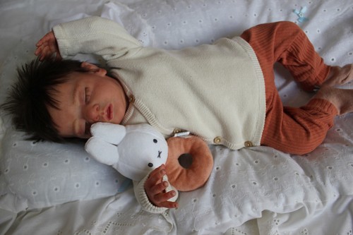 Adorable bébé reborn - , .