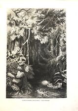 Gravure (vers 1860) : La rivière de mouillage dans l'ile Rossell, PAPOUASIE