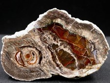 LITHOPHYSE , TRÈS BELLE  -