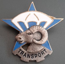 Insigne 1° RCP Section