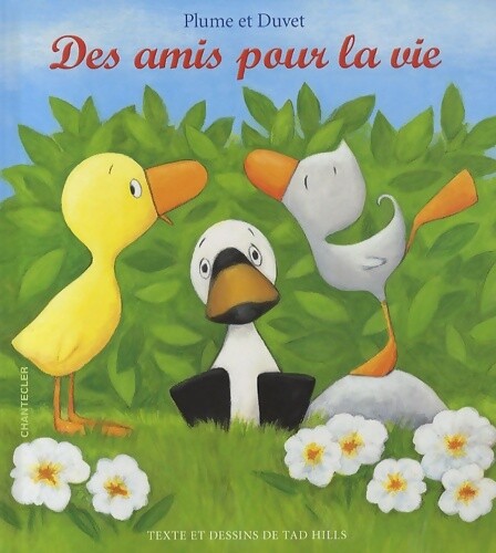 Plume duvet des amis pour - duvet,