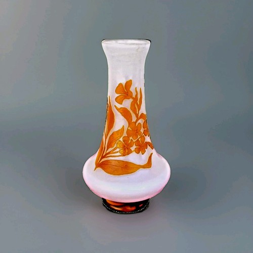 Vases galle devez parfait - devez,
