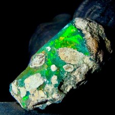 Opal Brut, Noir Naturel Opal