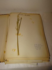 HERBIER ANNEES 60-70 ? ENVIRON 95 PLANCHES. RETROUVE DANS UNE MALLE ANCIENNE