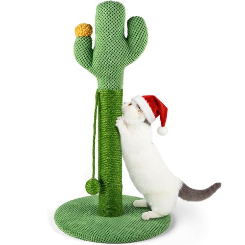 Griffoir cactus arbre - griffoir, à