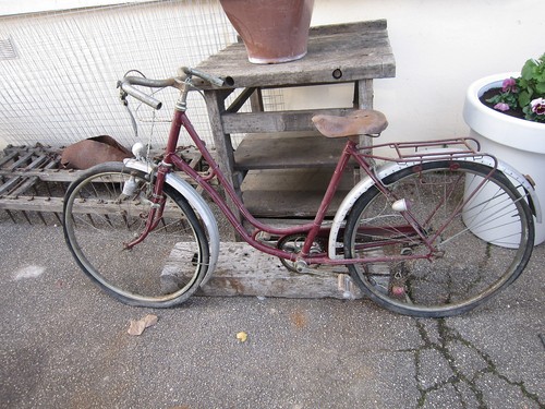 Dv5405 rare velo noly col - noly, de