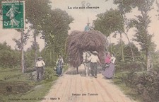 🦬 Carte Postale - Postcard