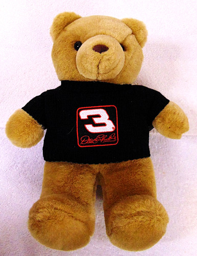 Vtg 2001 dale earnhardt - 2001,