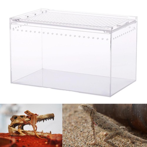Cage transparente pour