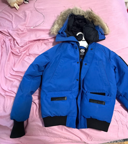 Canada goose bomber with - canada,