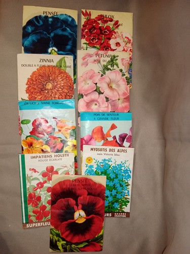 Sachet graines semis fleurs