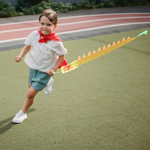 Ruban dragon intéressant - ruban,