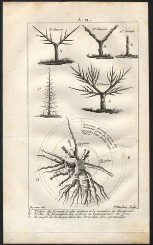 1803 gravure originale taille - gravure,