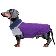 Chien Manteau d'hiver pour