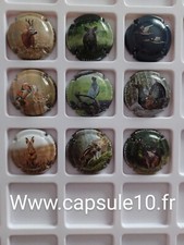 NEWS   CAPSULES DE CHAMPAGNE Chasse 2023  générique 