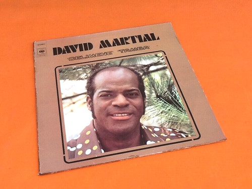 Album vinyle tours david - vinyle,