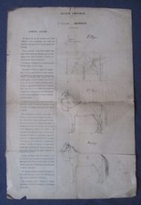 DESSIN OMNIBUS ANIMAUX /