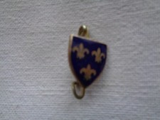 PETITE BROCHE EMAILLE BLASON