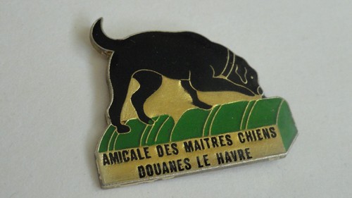 Pin amicale des - amicale, maitres