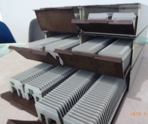Boites paniers x 50 - x,