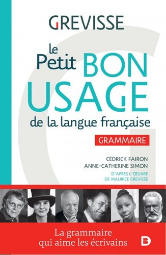 Petit bon usage - bon, la