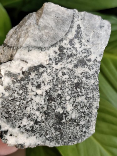 France corse rare diorite - france,,