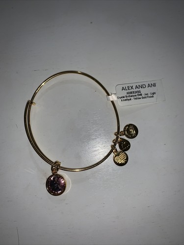 Alex and ani june bracelet - ani,