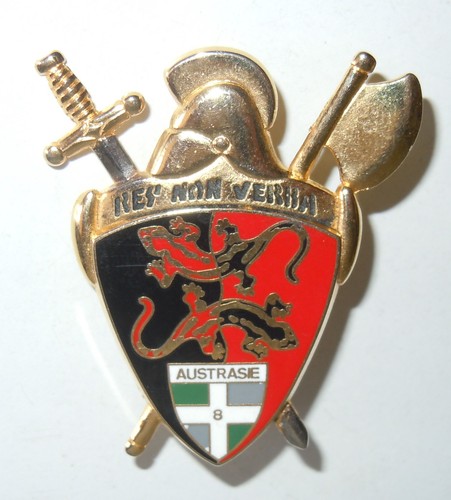 Insigne régiment - insigne, 8°