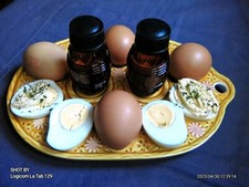 Plat Présentoir Pour oeux