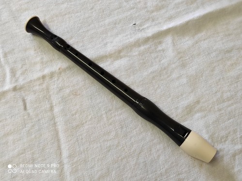 Instrument musique vent - instrument, à