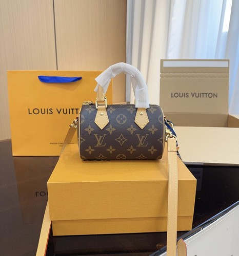 Sac louis vuitton - louis, speedy
