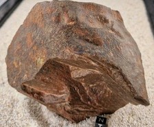 Meteorite NWA 17429 Chondrite