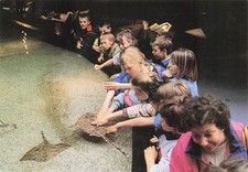 62 BOULOGNE SUR MER NAUSICAA