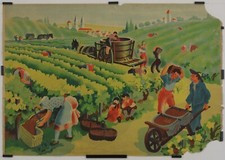 Poirié Hélène Les vendanges Circa 1950 Affiche Originale Éducation Agriculture