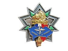 ANCIEN INSIGNE GENIE 3° RG OPEX BATGEN KFOR 5° MANDAT Y. DELSART ETAT EXCELLENT