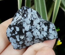 Obsidienne Flocon de Neige