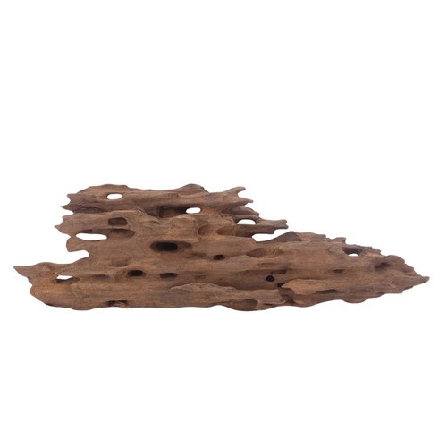 Honey peigne racine 3028 - l,