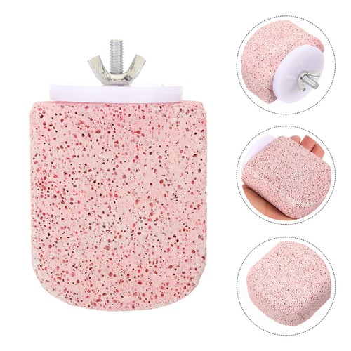 Perchoir perroquet accessoire - perroquet,