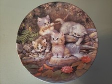 Kitten Plate Bradford Exchange